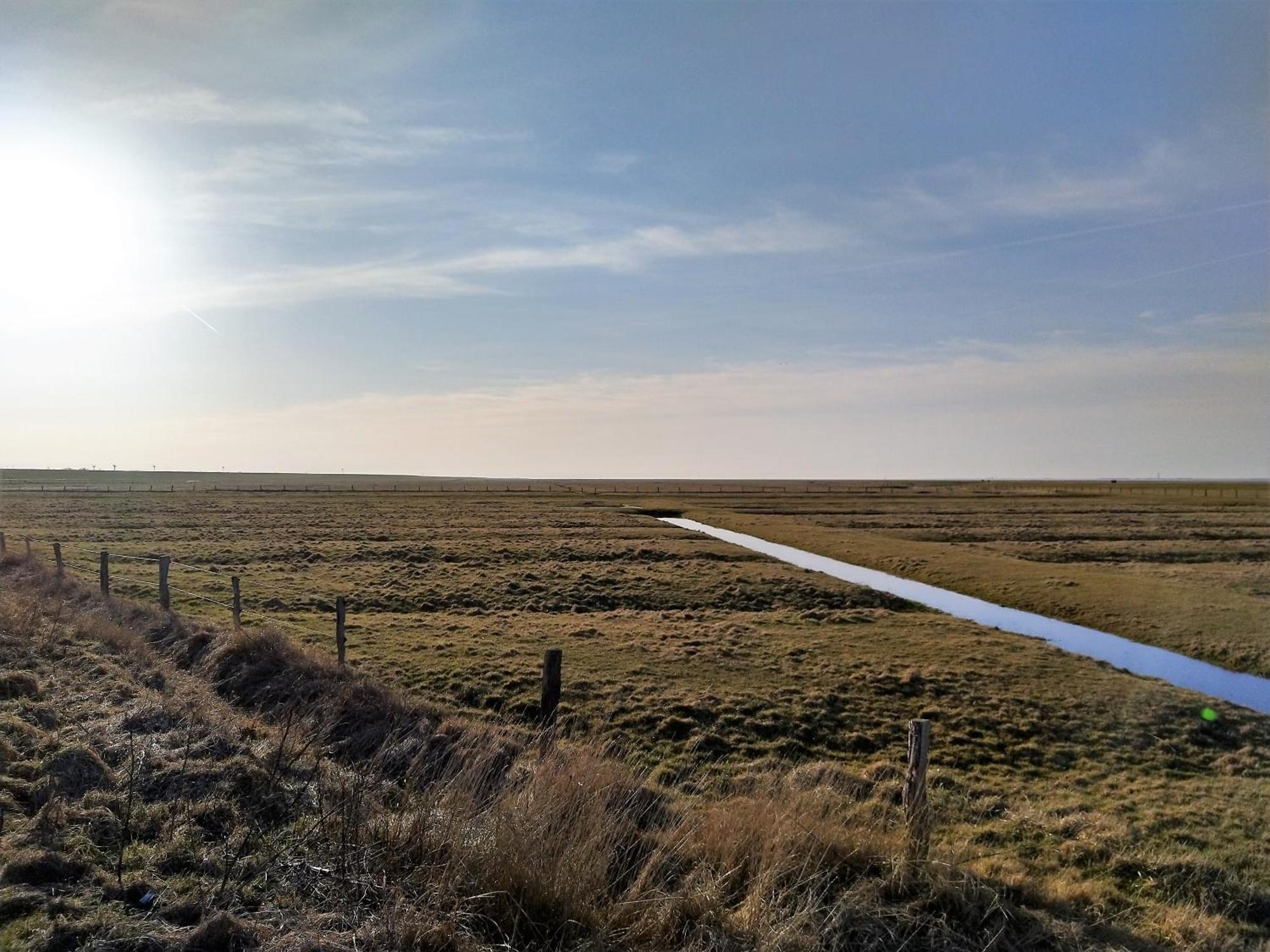 Ferienhaus Kolibri, Exklusiv Und Familiaer In Nessmersiel Mit Anbindung Nach Baltrum Exterior foto